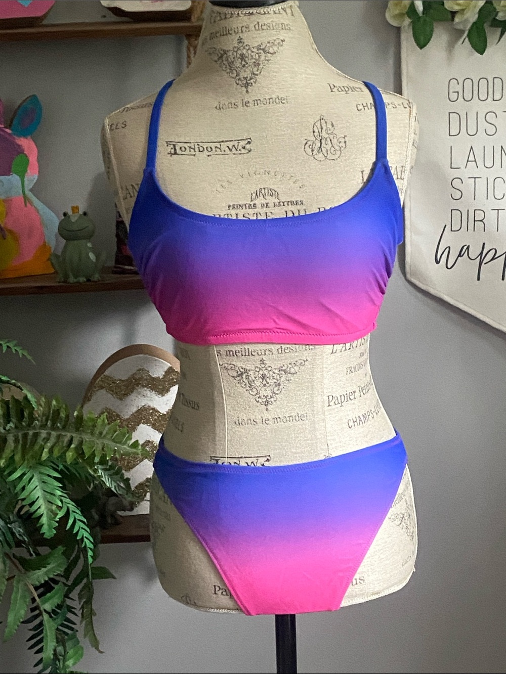 Wild Fable S/ DDD Ombré Pink to Blue Two-Piece Bikini